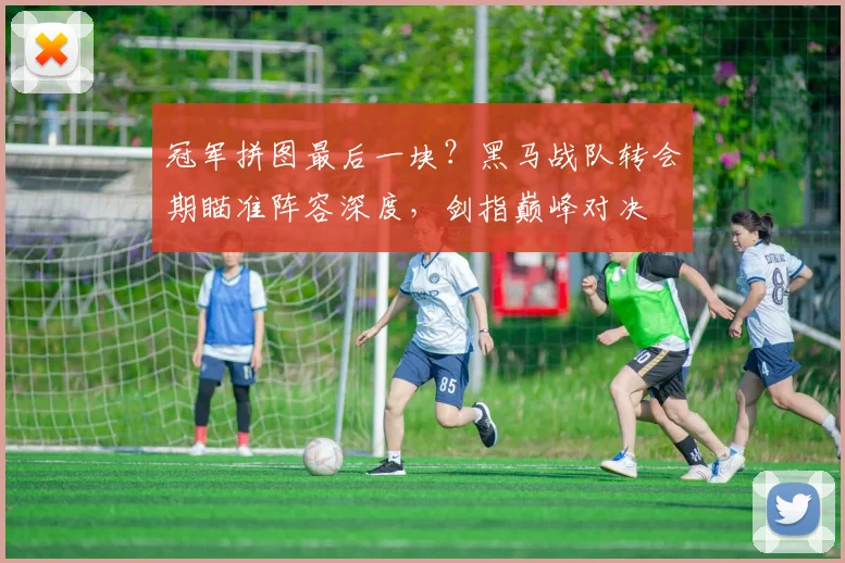 冠军拼图最后一块？黑马战队转会期瞄准阵容深度，剑指巅峰对决